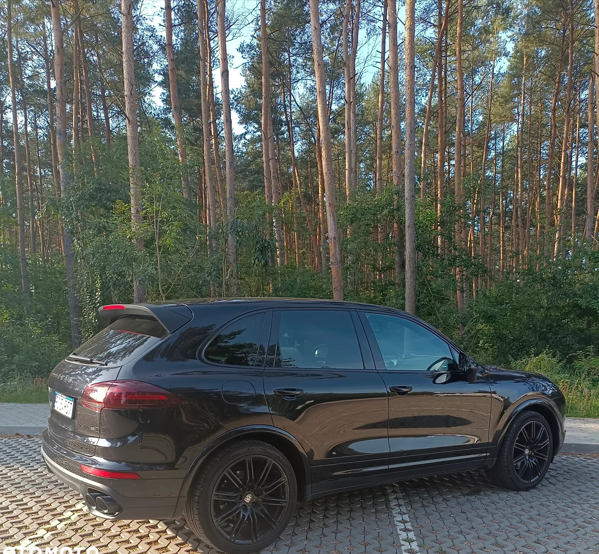 Porsche Cayenne cena 190000 przebieg: 58655, rok produkcji 2017 z Piotrków Kujawski małe 352